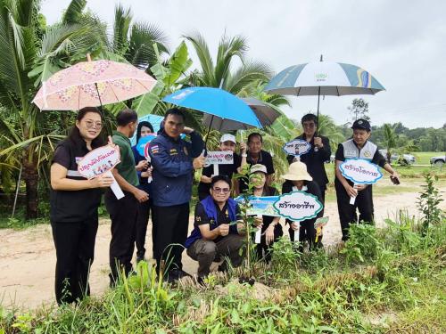 พช.สว่างวีระวงศ์ ดำเนินงานโครงการสนับสนุนการขับเคลื่อนกิจกรรม ตามแผนพัฒนาตำบล กิจกรรมสร้างความมั่นคงทางอาหาร ปลูกผักสวนครัว 